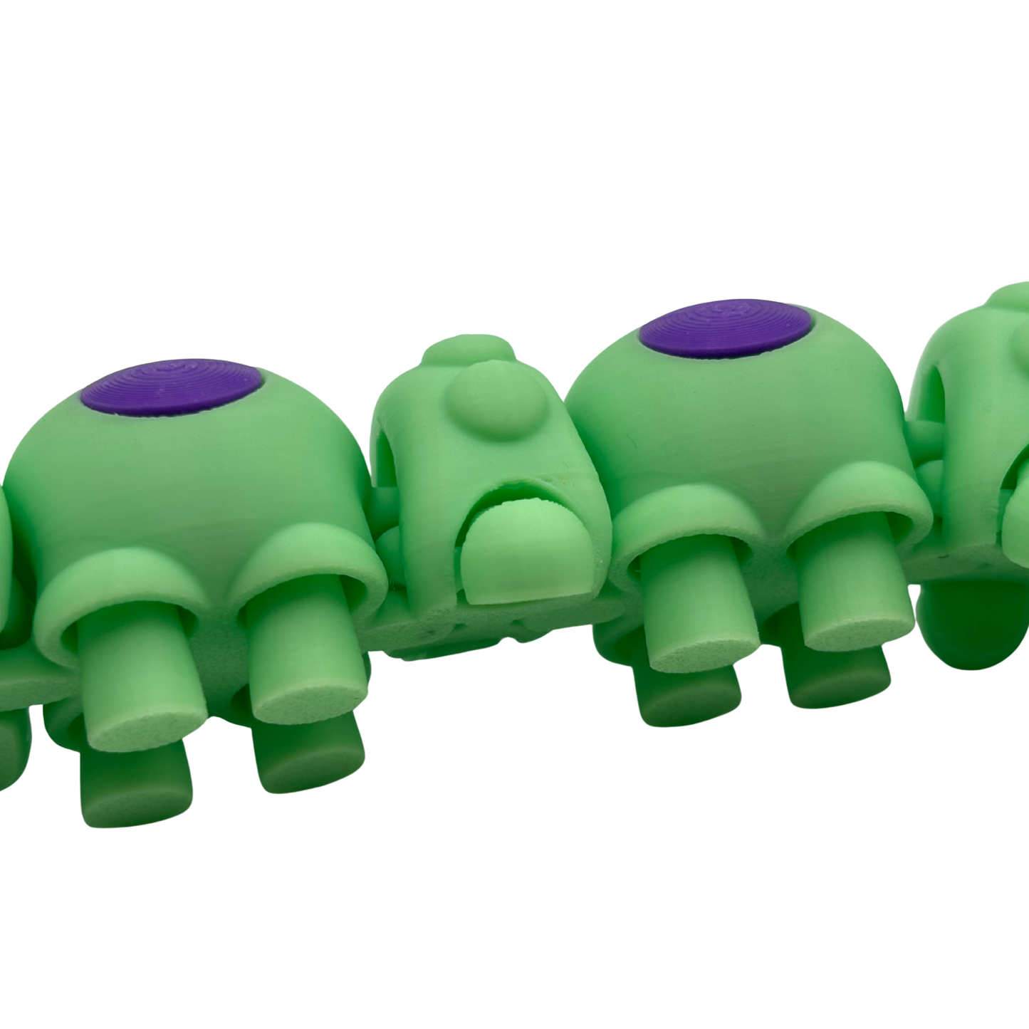 Flexy and Clicky Buggy Fidgets | 3D printed set of 2 clicky bugs and 1 flexi caterpillar